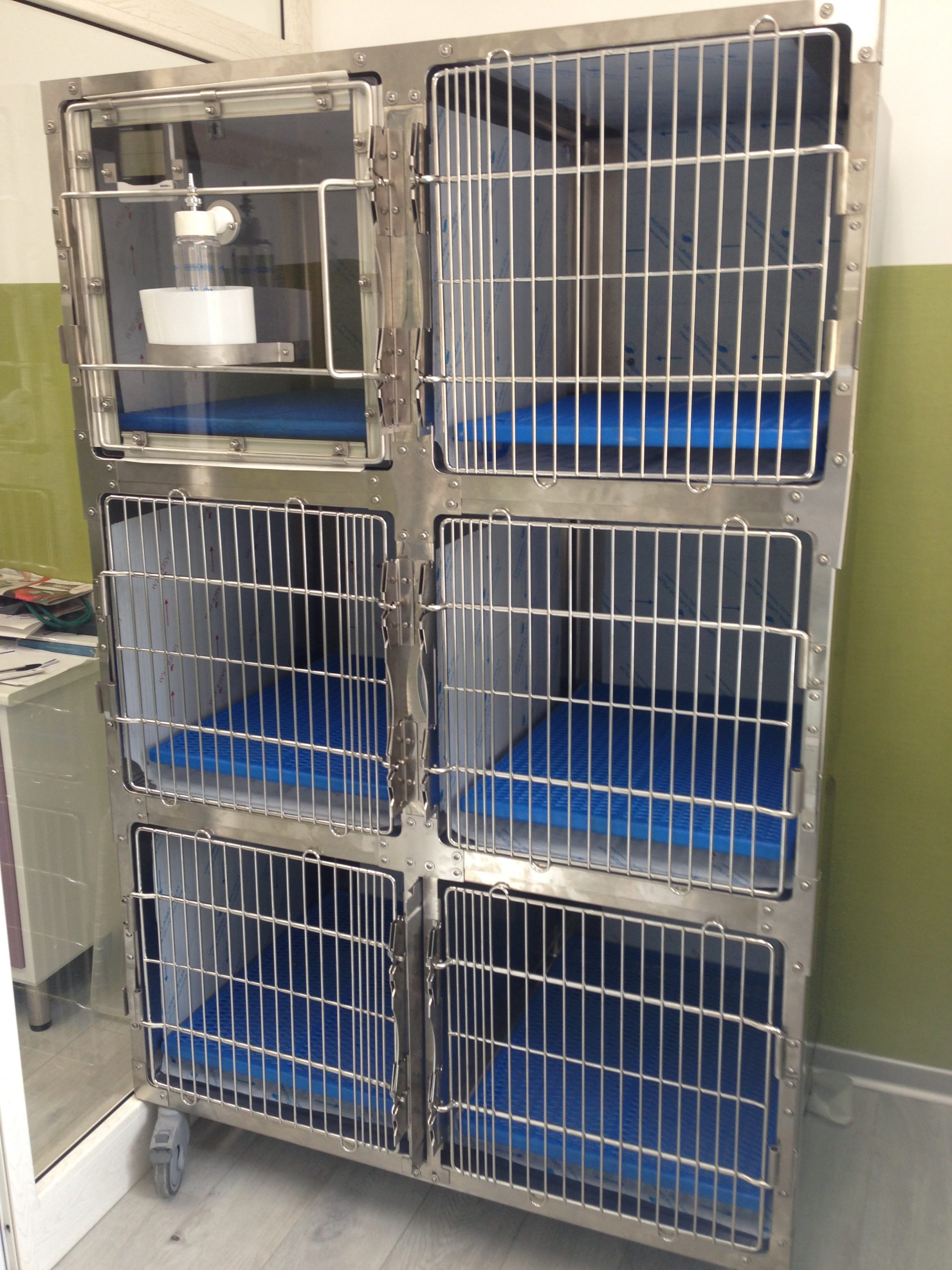 Gabbia veterinaria a 6 posti